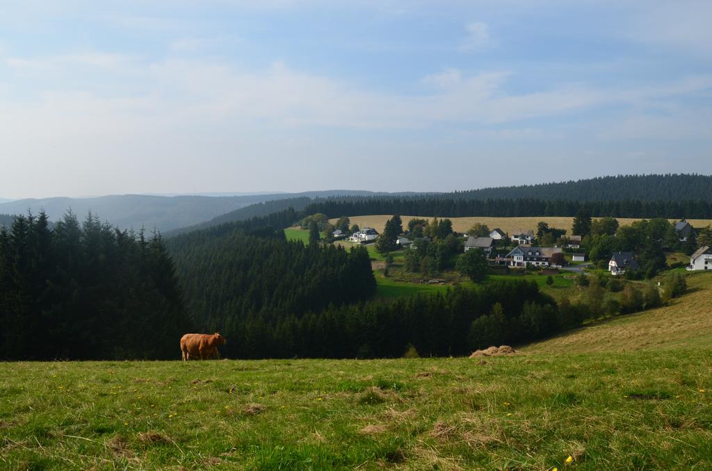 Berggasthof Zur Glocke Winterberg Zewnętrze zdjęcie
